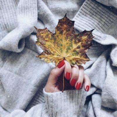 leyu乐鱼·体育下载手机版截图